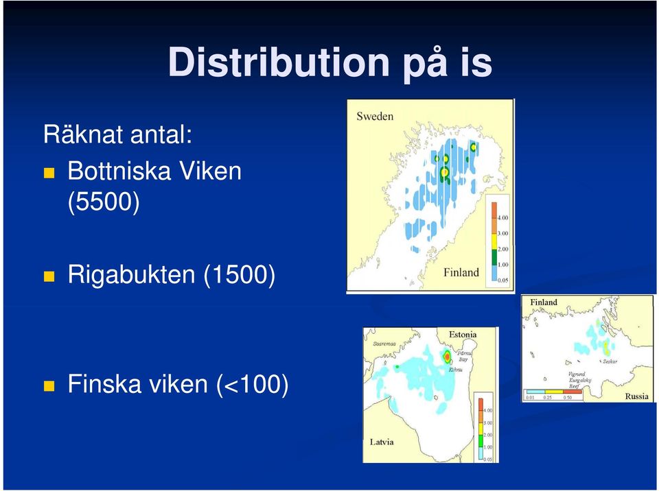 Viken (5500) Rigabukten