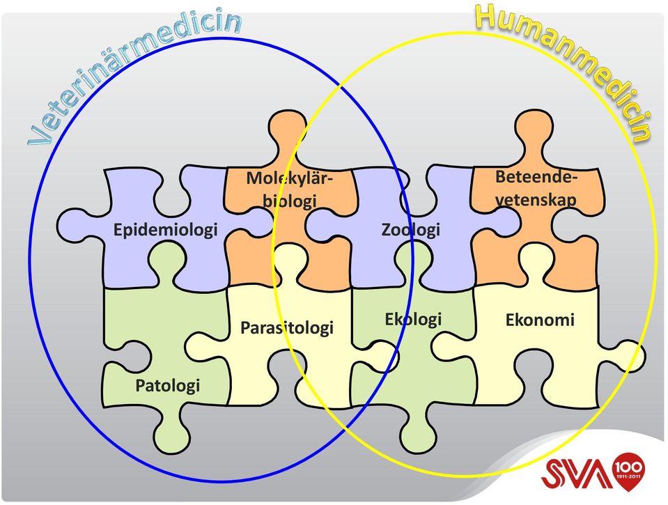 Molekylärbiologi