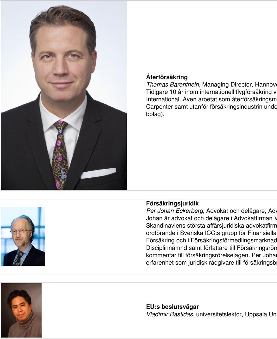 Försäkringsjuridik Per Johan Eckerberg, Advokat och delägare, Adv Johan är advokat och delägare i Advokatfirman V Skandinaviens största affärsjuridiska advokatfirm ordförande