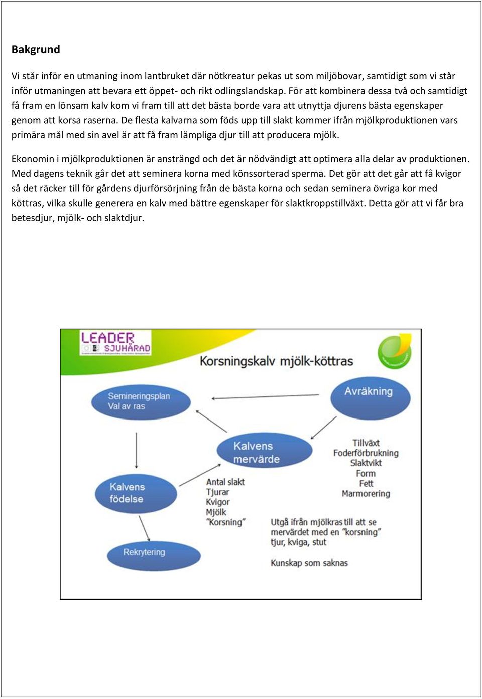 De flesta kalvarna som föds upp till slakt kommer ifrån mjölkproduktionen vars primära mål med sin avel är att få fram lämpliga djur till att producera mjölk.