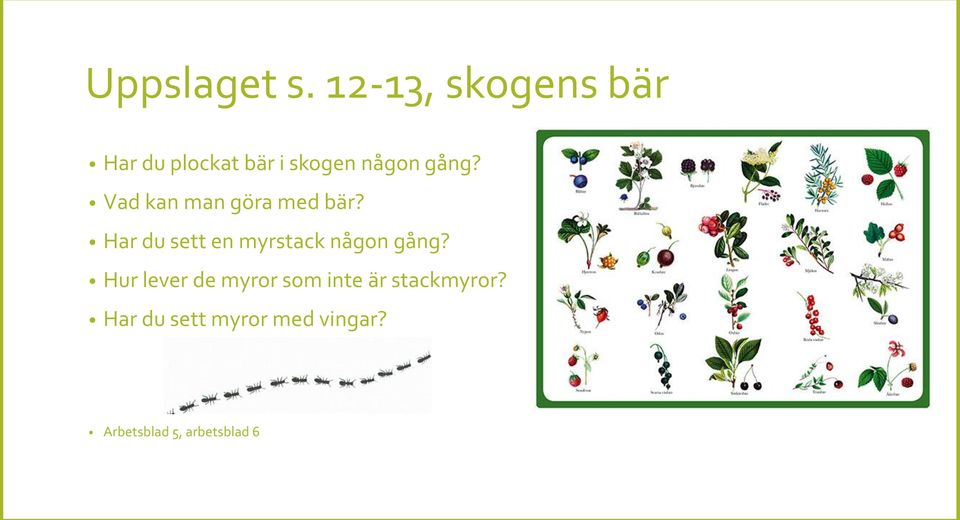 Vad kan man göra med bär?