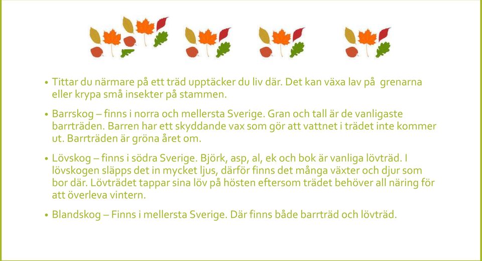 Lövskog finns i södra Sverige. Björk, asp, al, ek och bok är vanliga lövträd.