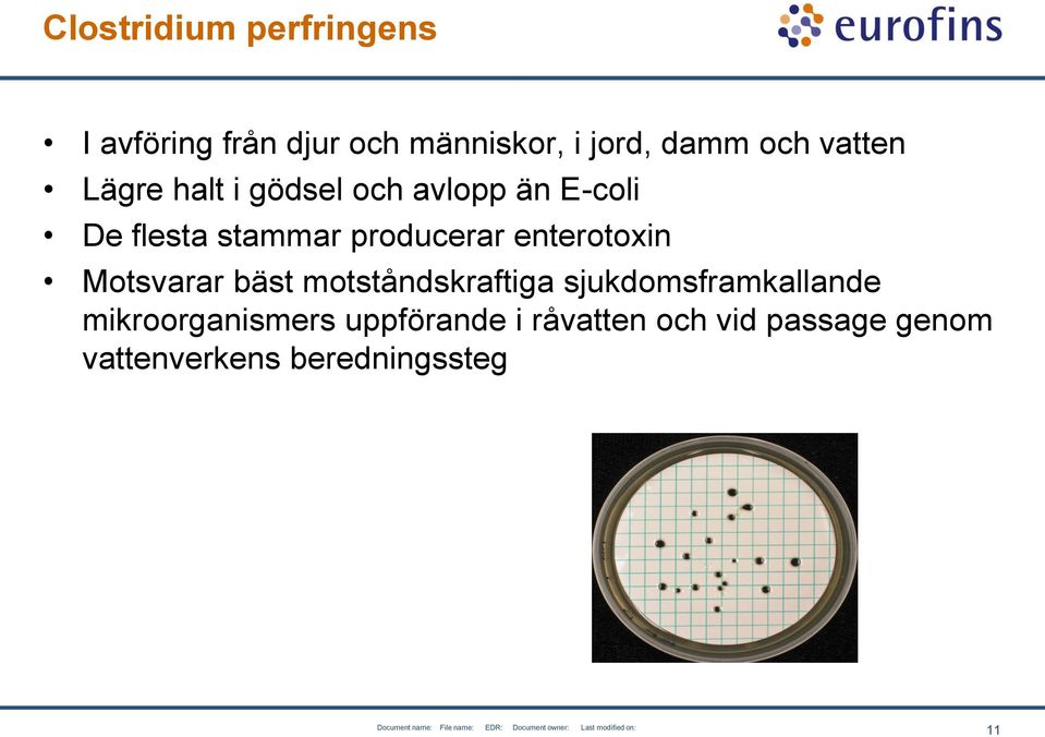 enterotoxin Motsvarar bäst motståndskraftiga sjukdomsframkallande