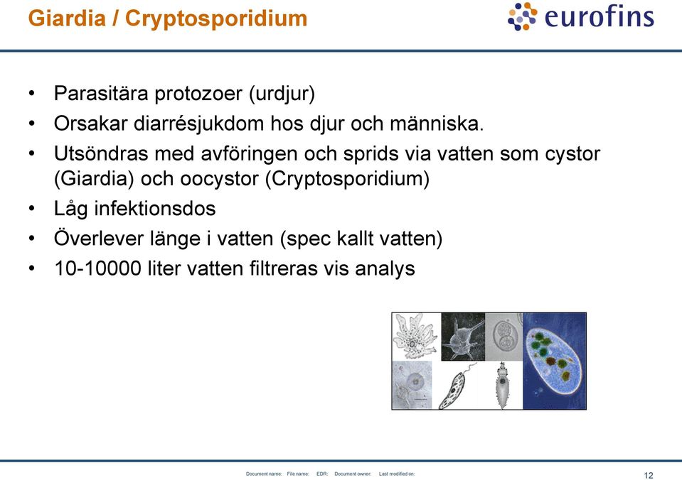 Utsöndras med avföringen och sprids via vatten som cystor (Giardia) och