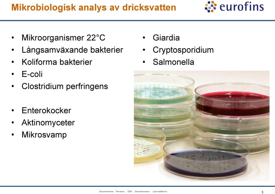 Koliforma bakterier E-coli Clostridium perfringens