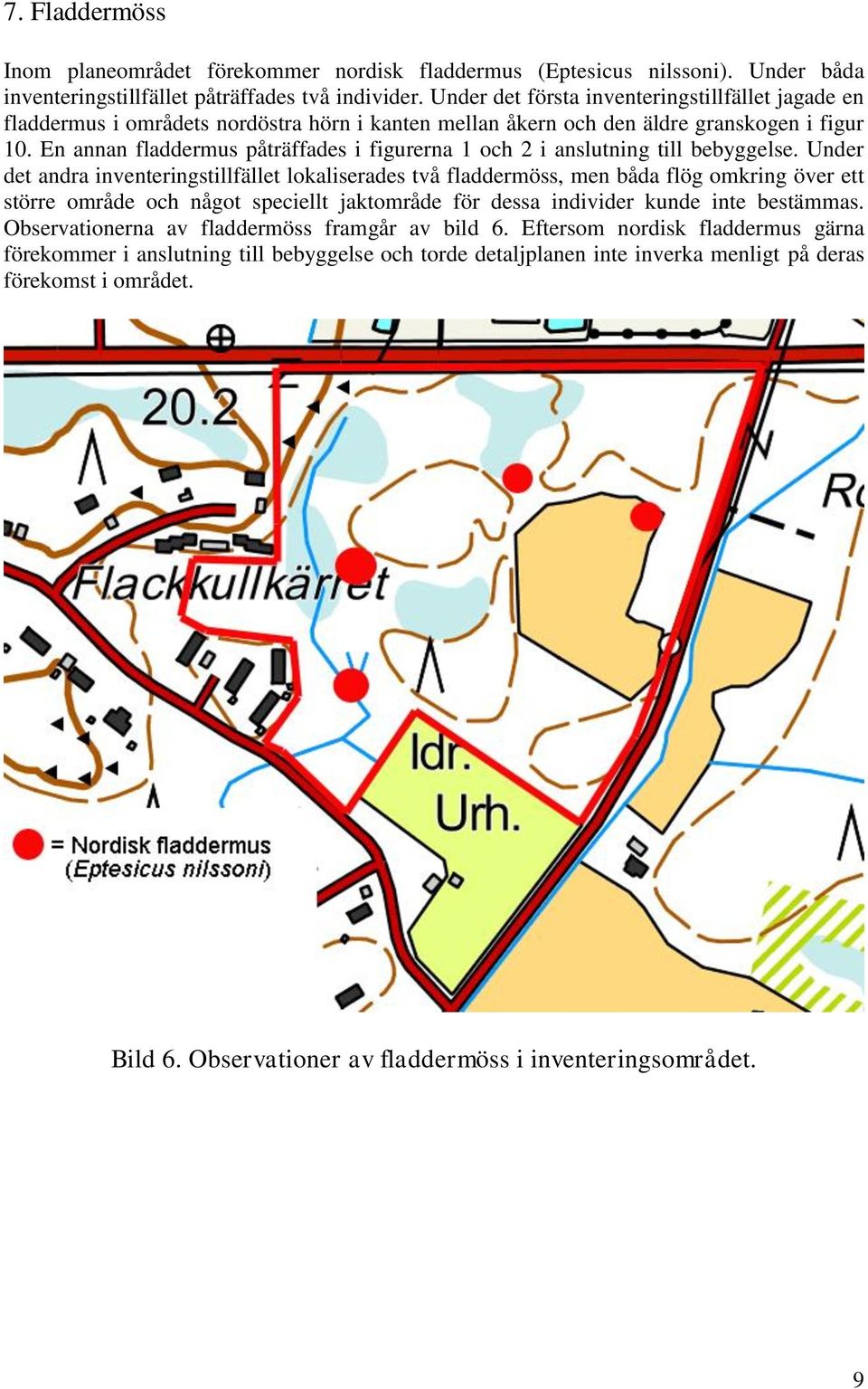 En annan fladdermus påträffades i figurerna 1 och 2 i anslutning till bebyggelse.