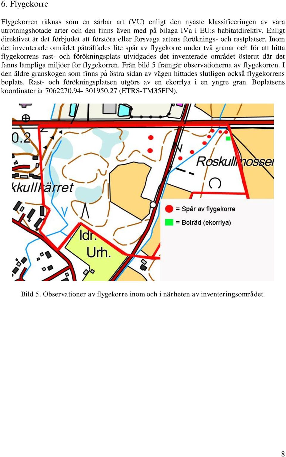 Inom det inventerade området påträffades lite spår av flygekorre under två granar och för att hitta flygekorrens rast- och förökningsplats utvidgades det inventerade området österut där det fanns