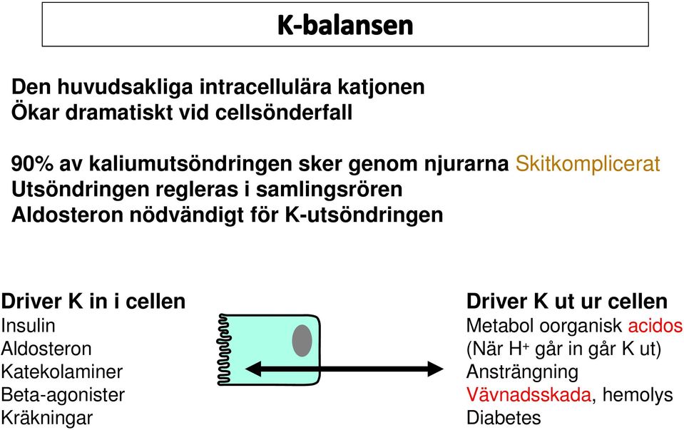 K-utsöndringen Driver K in i cellen Insulin Aldosteron Katekolaminer Beta-agonister Kräkningar Driver K