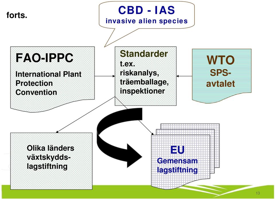 Plant Protection Convention Standarder t.ex.