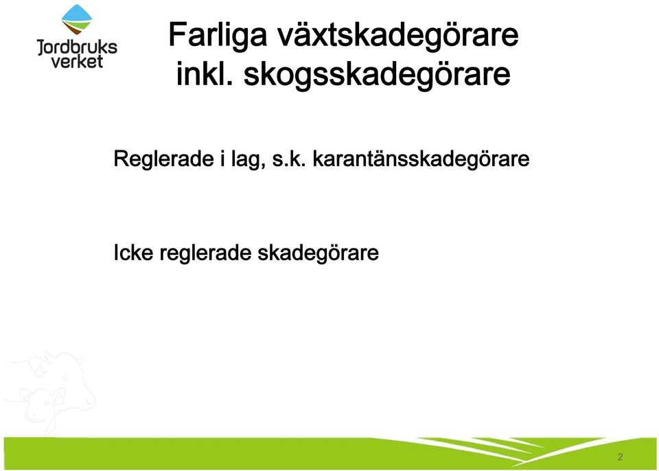 lag, s.k.