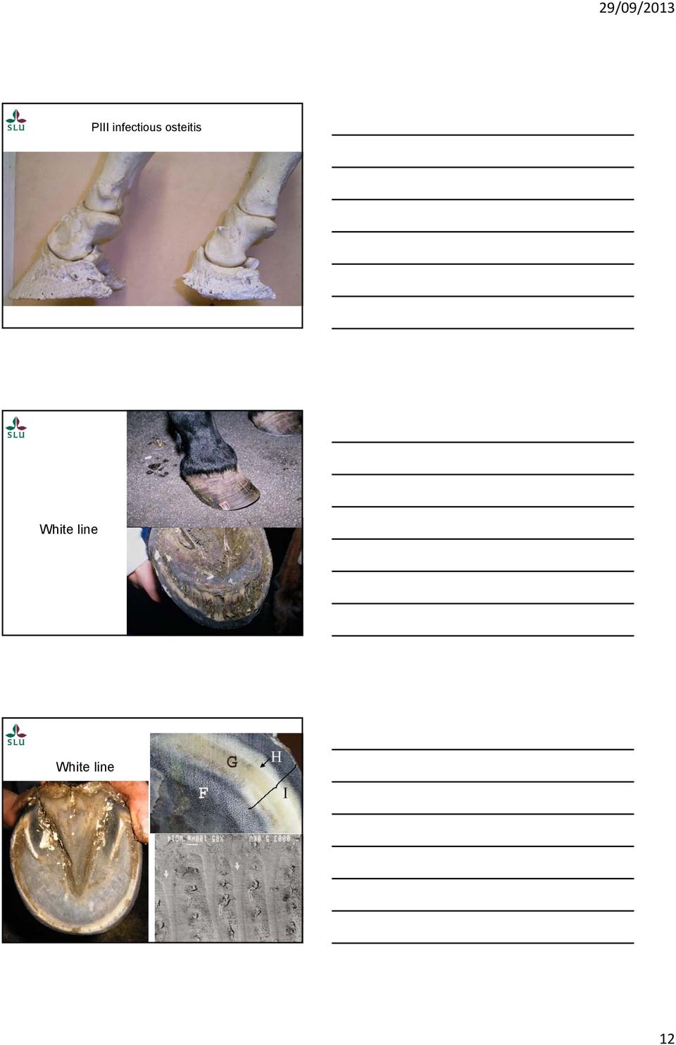 osteitis