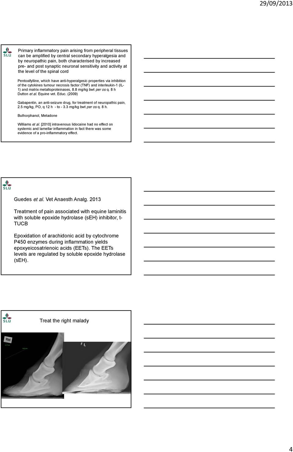 and matrix metalloproteinases, 8.8 mg/kg bwt per os q. 8 h Dutton et al. Equine vet. Educ. (2009) Gabapentin, an anti-seizure drug, for treatment of neuropathic pain, 2.5 mg/kg, PO, q 12 h - to - 3.
