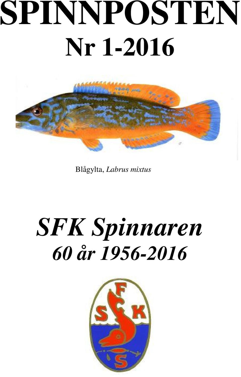 Labrus mixtus SFK