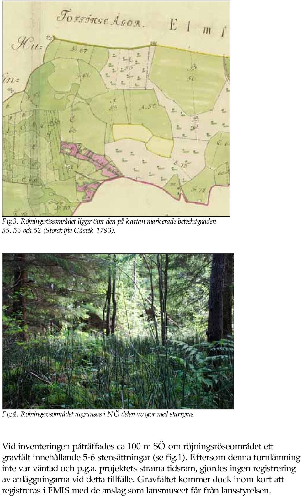 Vid inventeringen påträffades ca 100 m SÖ om röjningsröseområdet ett gravfält innehållande 5-6 stensättningar (se fig.1).