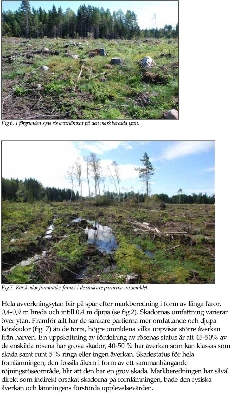 Framför allt har de sankare partierna mer omfattande och djupa körskador (fig. 7) än de torra, högre områdena vilka uppvisar större åverkan från harven.