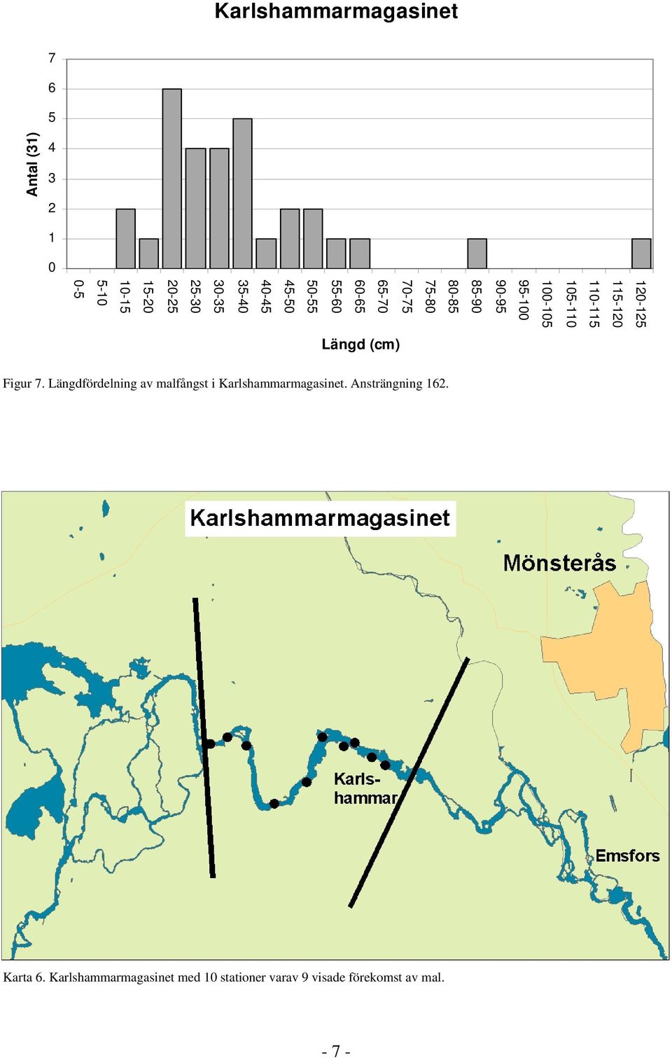 5-1 -5 Figur 7. Längdfördelning av malfångst i Karlshammarmagasinet.