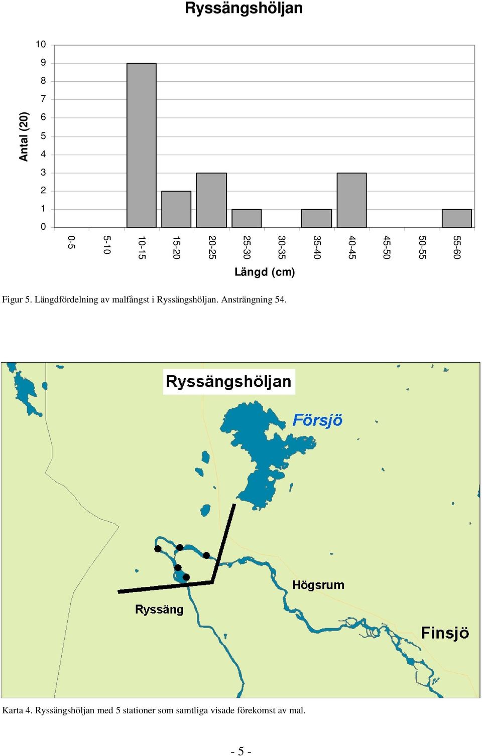 Längdfördelning av malfångst i Ryssängshöljan. Ansträngning 54.