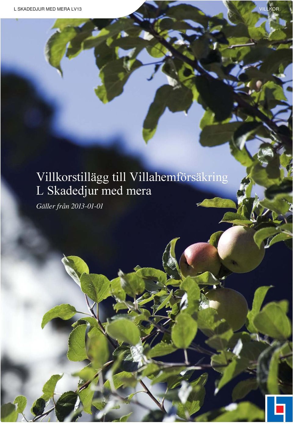 till Villahemförsäkring L