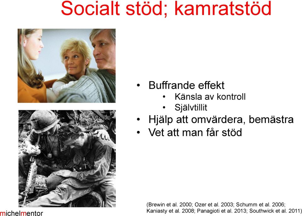 (Brewin et al. 2000; Ozer et al. 2003; Schumm et al.