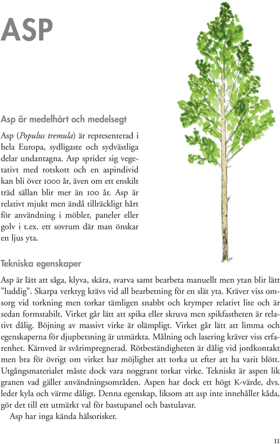 Asp är relativt mjukt men ändå tillräckligt hårt för användning i möbler, paneler eller golv i t.ex. ett sovrum där man önskar en ljus yta.
