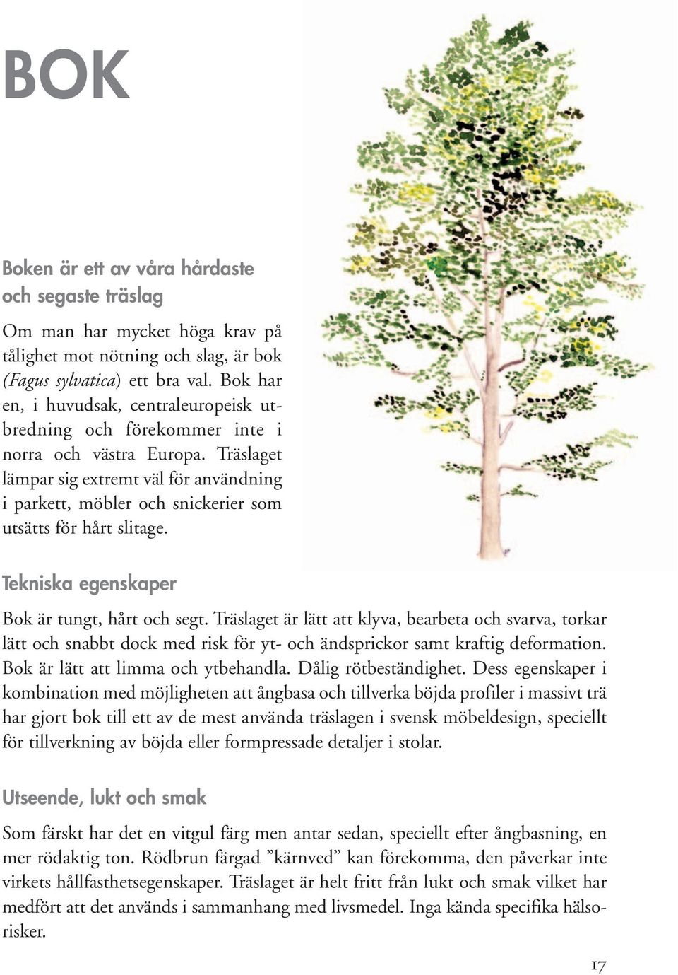 Träslaget lämpar sig extremt väl för användning i parkett, möbler och snickerier som utsätts för hårt slitage. Tekniska egenskaper Bok är tungt, hårt och segt.