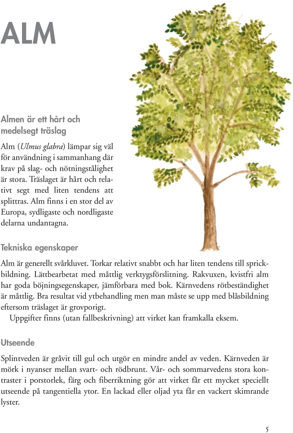 Torkar relativt snabbt och har liten tendens till sprickbildning. Lättbearbetat med måttlig verktygsförslitning. Rakvuxen, kvistfri alm har goda böjningsegenskaper, jämförbara med bok.