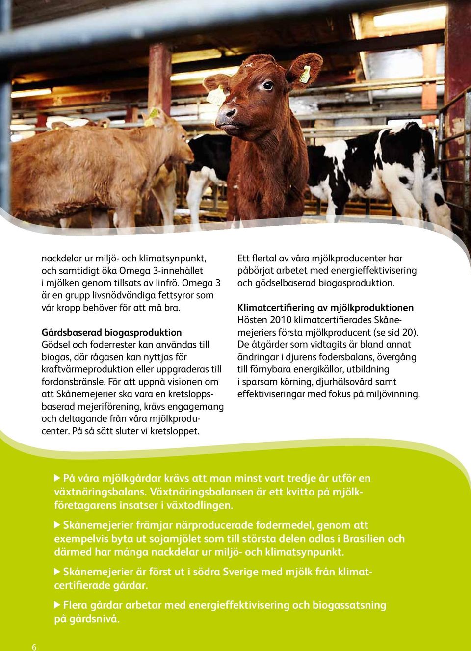 För att uppnå visionen om att Skånemejerier ska vara en kretsloppsbaserad mejeriförening, krävs engagemang och deltagande från våra mjölkproducenter. På så sätt sluter vi kretsloppet.