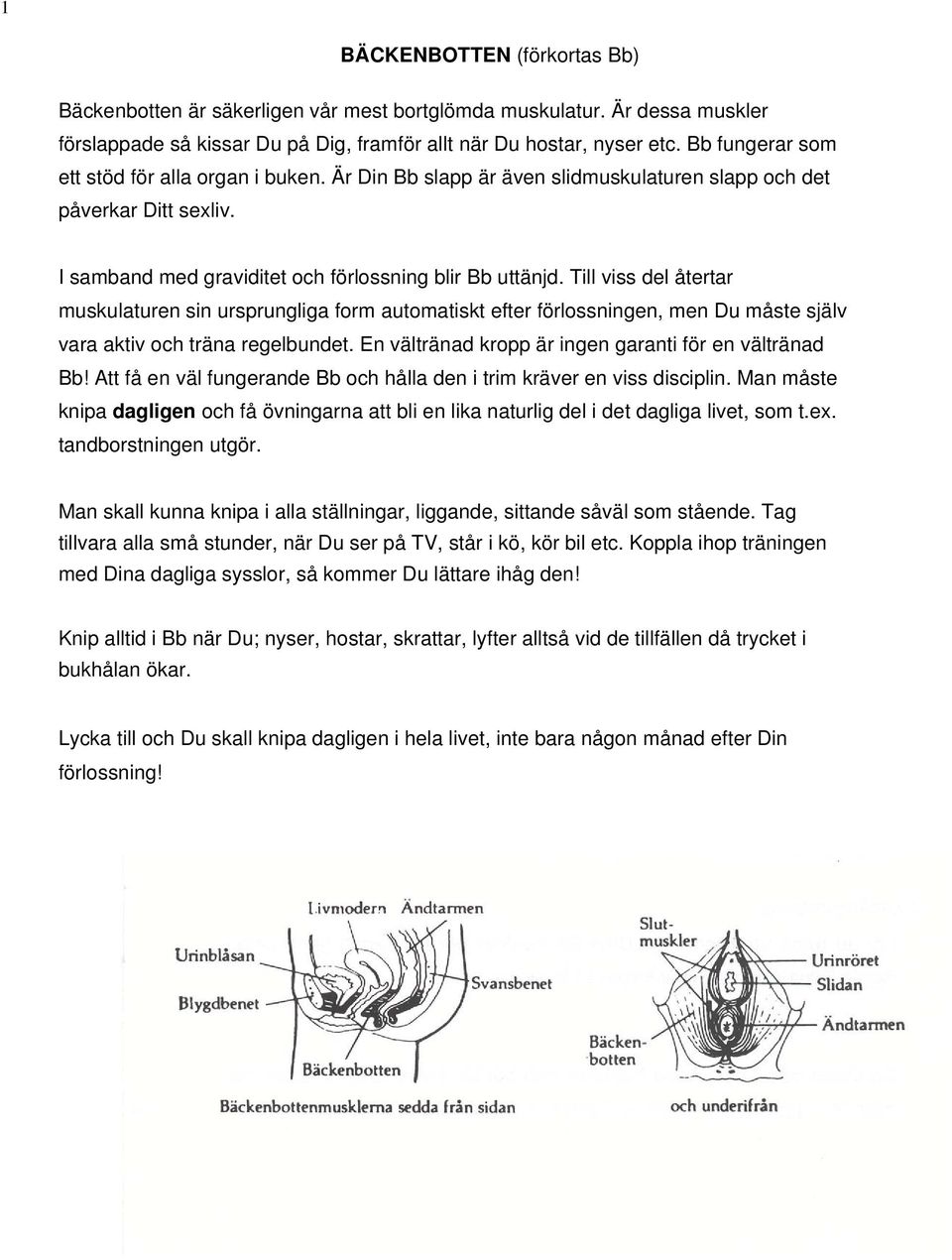 Till viss del återtar muskulaturen sin ursprungliga form automatiskt efter förlossningen, men Du måste själv vara aktiv och träna regelbundet. En vältränad kropp är ingen garanti för en vältränad Bb!