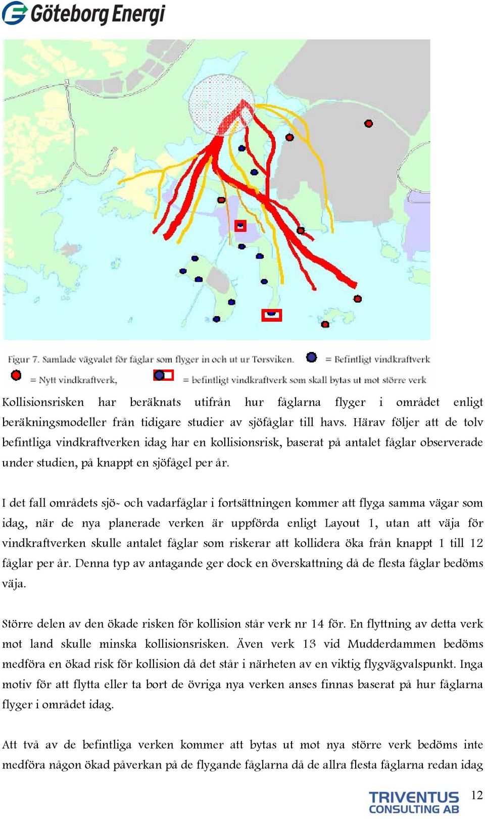I det fall områdets sjö- och vadarfåglar i fortsättningen kommer att flyga samma vägar som idag, när de nya planerade verken är uppförda enligt Layout 1, utan att väja för vindkraftverken skulle
