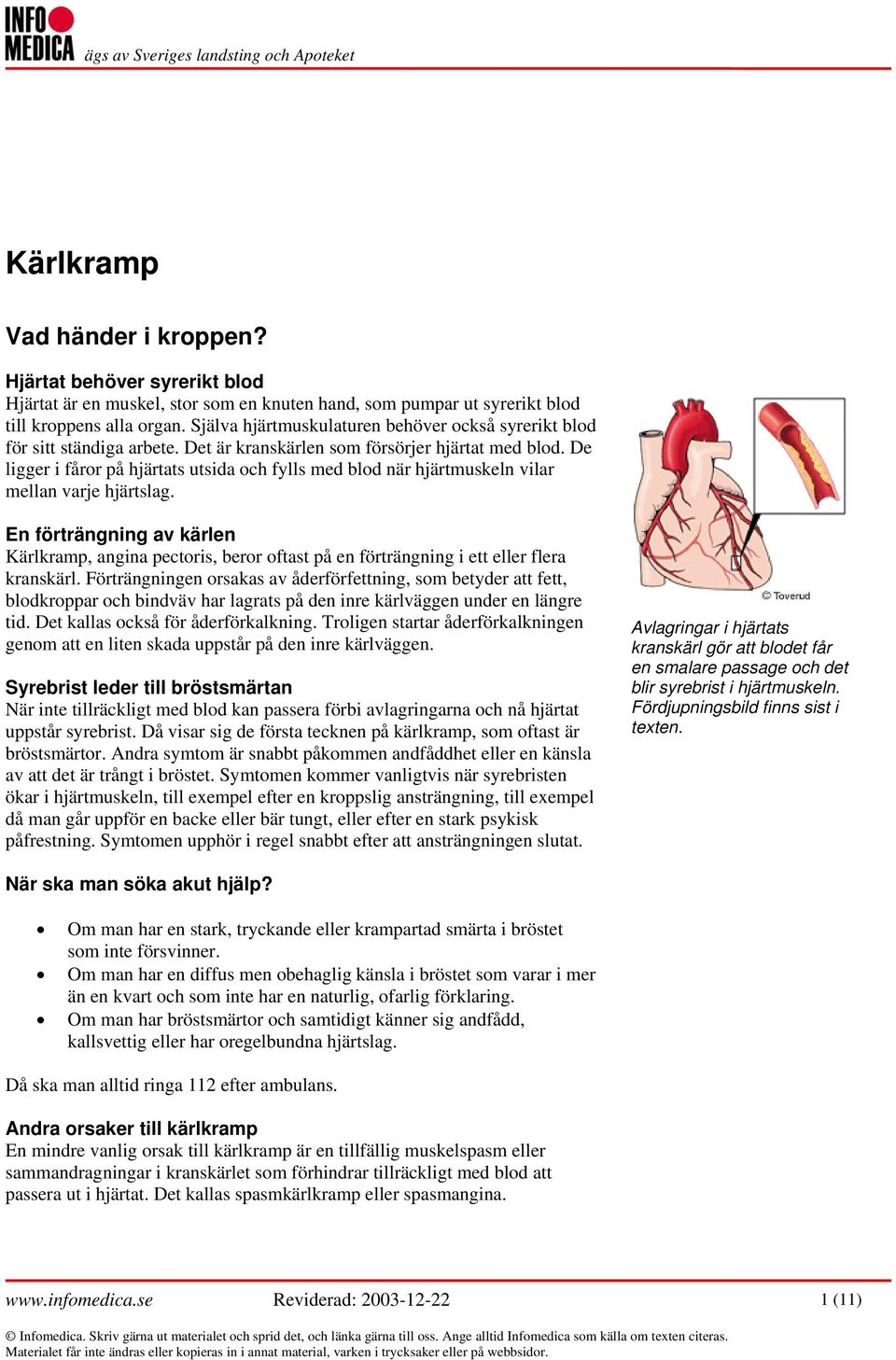 De ligger i fåror på hjärtats utsida och fylls med blod när hjärtmuskeln vilar mellan varje hjärtslag.