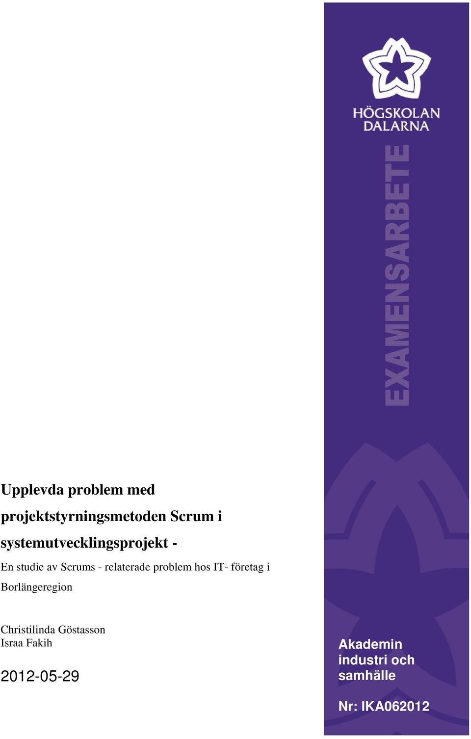 relaterade problem hos IT- företag i Borlängeregion