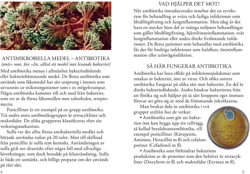 Några antibiotika kommer till och med från bakterier, som ett av de första läkemedlen mot tuberkulos, streptomycin. Penicilliner är ett exempel på en grupp antibiotika.