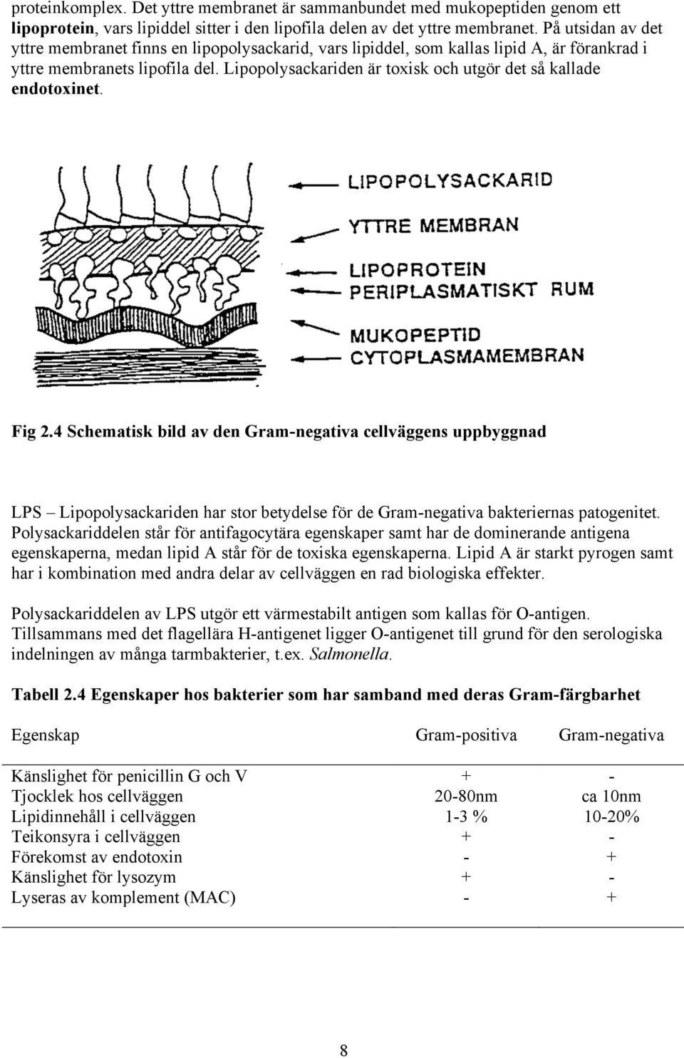 Lipopolysackariden är toxisk och utgör det så kallade endotoxinet. Fig 2.