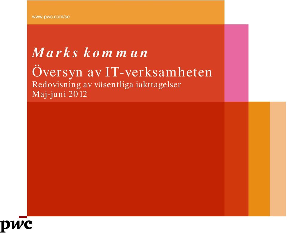 Översyn av IT-verksamheten