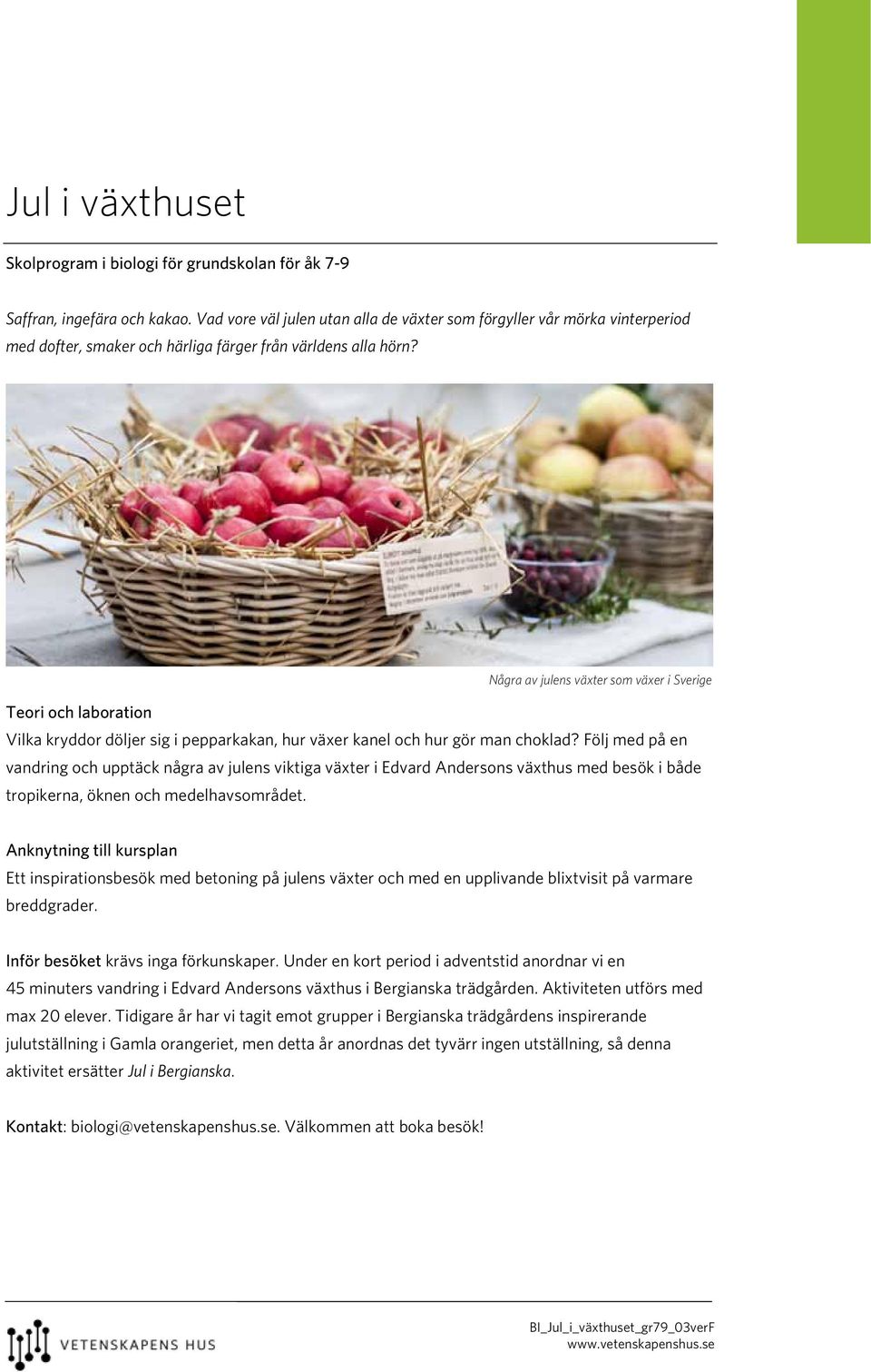 Några av julens växter som växer i Sverige Vilka kryddor döljer sig i pepparkakan, hur växer kanel och hur gör man choklad?