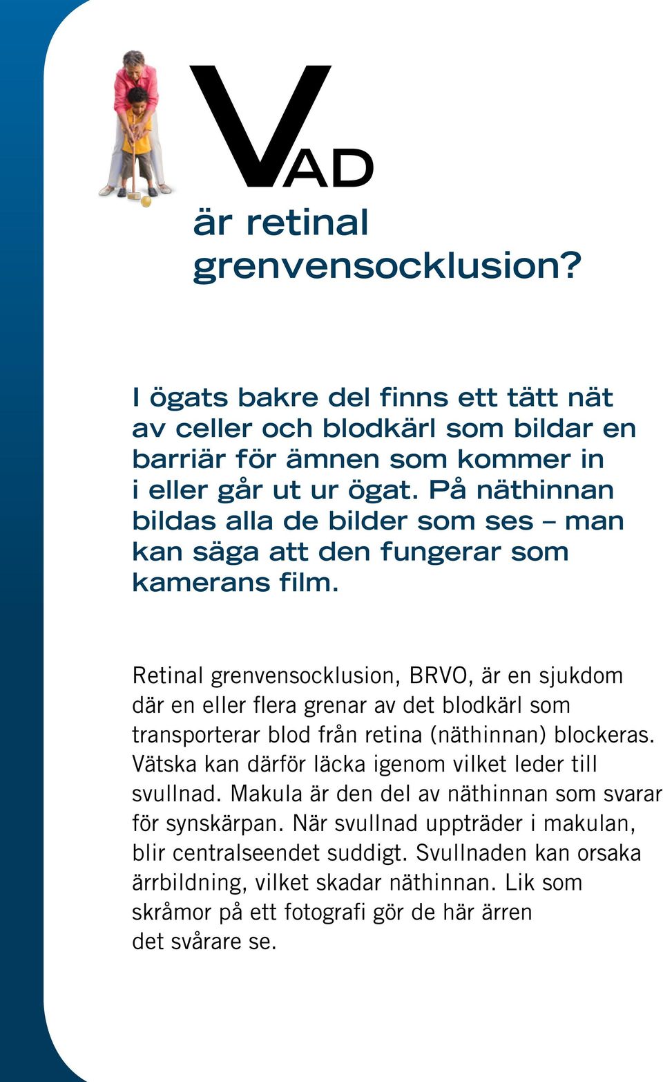 Retinal grenvensocklusion, BRVO, är en sjukdom där en eller flera grenar av det blodkärl som transporterar blod från retina (näthinnan) blockeras.