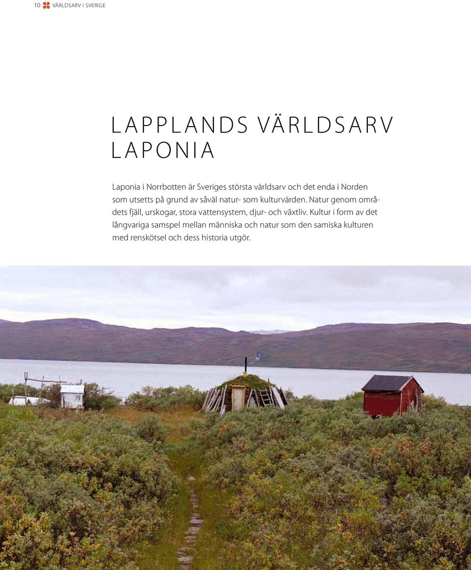 Natur genom områdets fjäll, urskogar, stora vattensystem, djur- och växtliv.