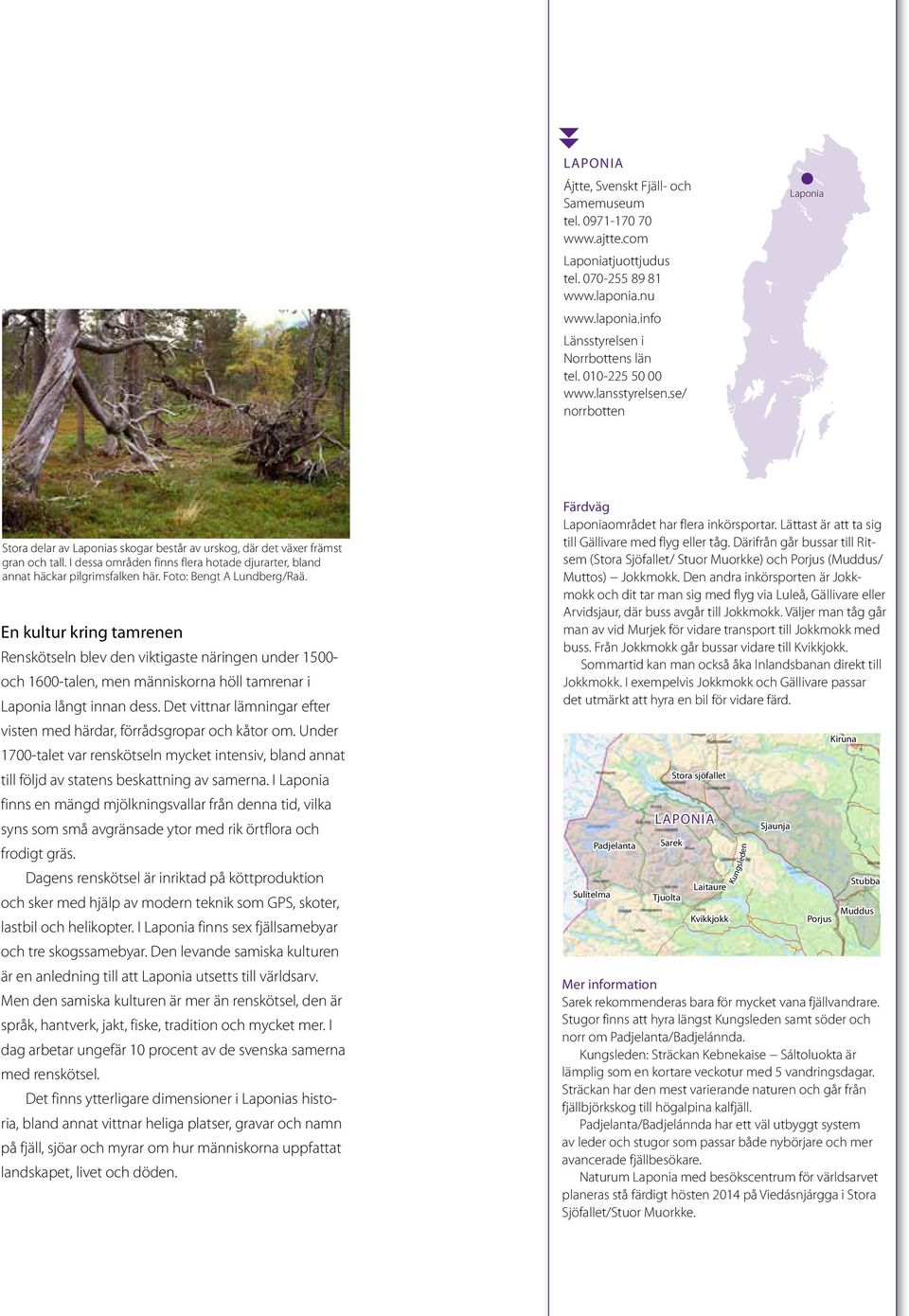 I dessa områden finns flera hotade djurarter, bland annat häckar pilgrimsfalken här. Foto: Bengt A Lundberg/Raä.