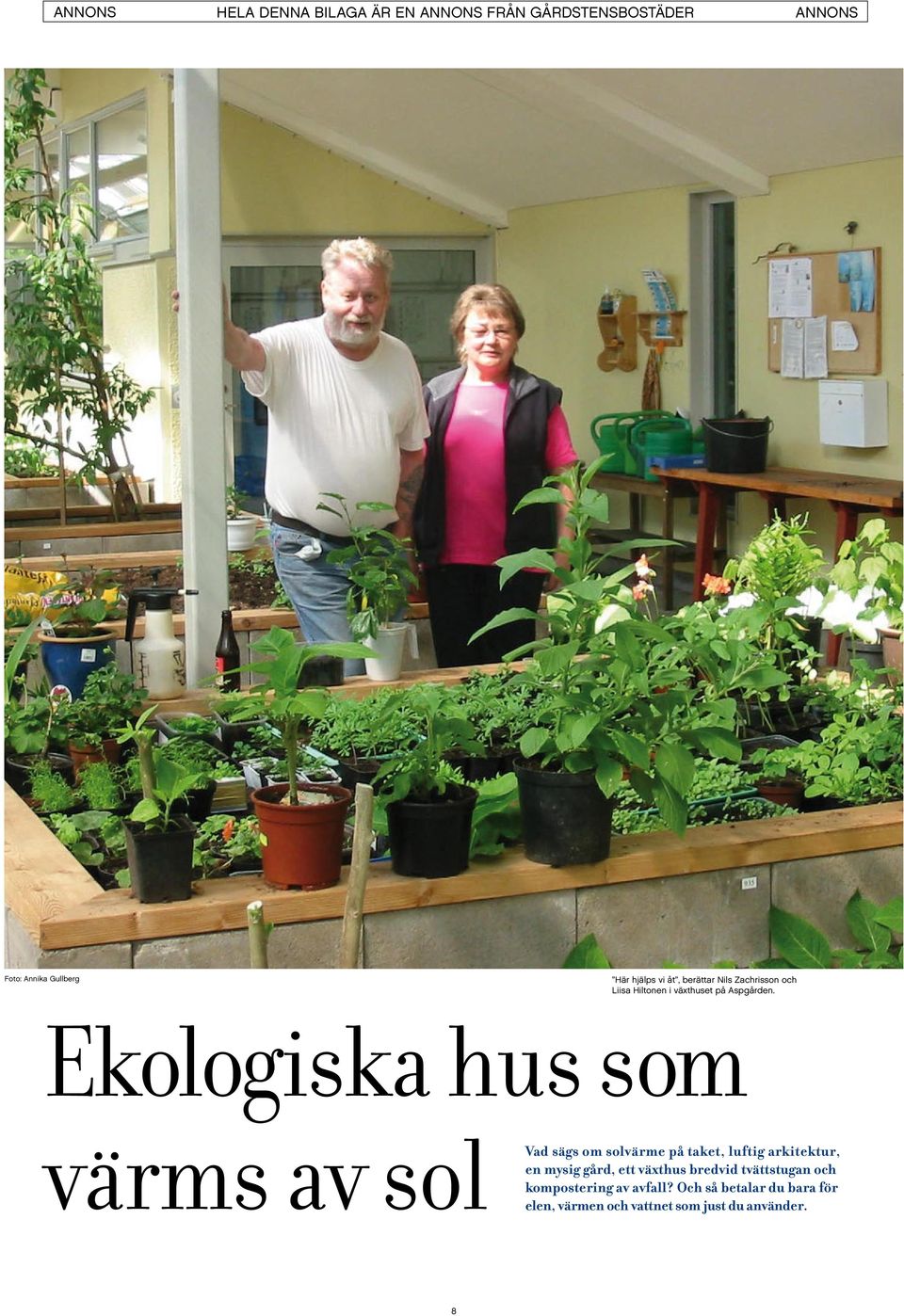 Ekologiska hus som värms av sol Vad sägs om solvärme på taket, luftig arkitektur, en mysig gård,