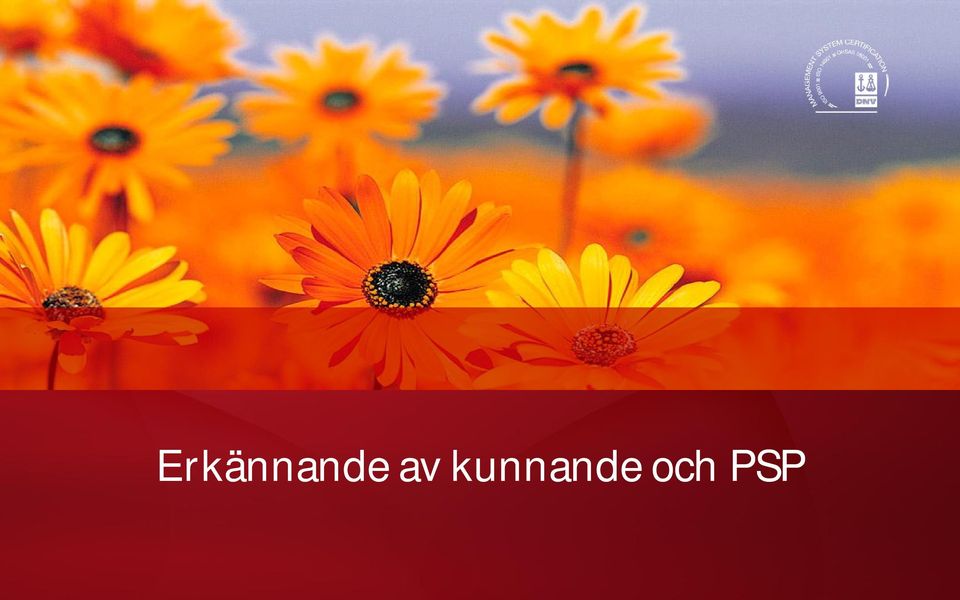 vuxen psp endast