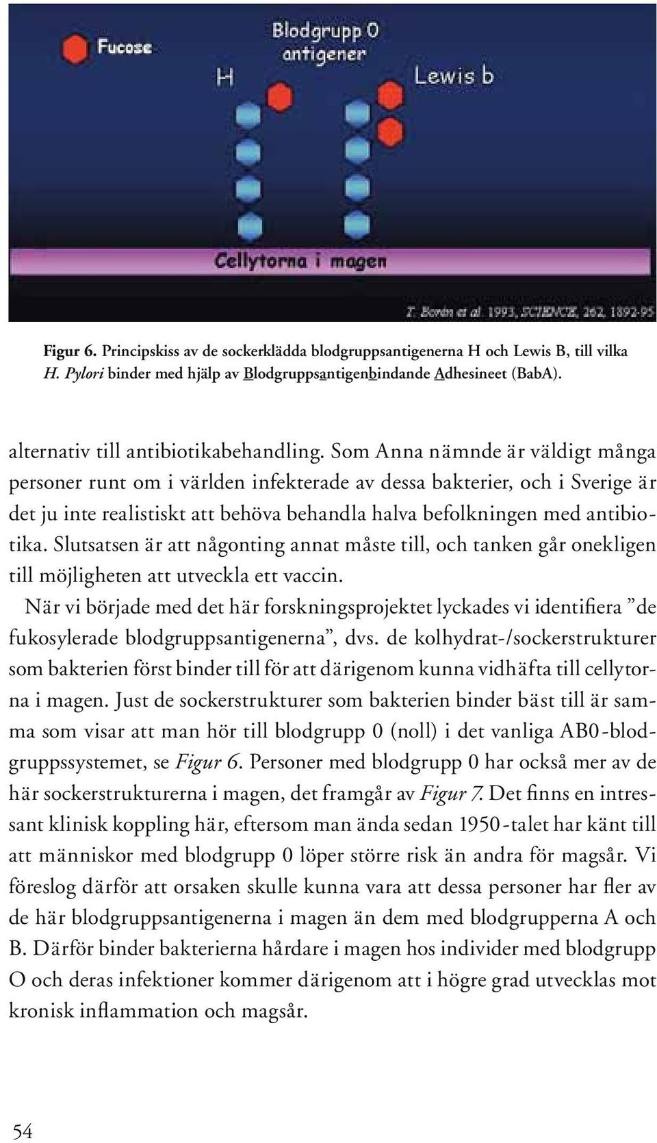 Som Anna nämnde är väldigt många personer runt om i världen infekterade av dessa bakterier, och i Sverige är det ju inte realistiskt att behöva behandla halva befolkningen med antibiotika.
