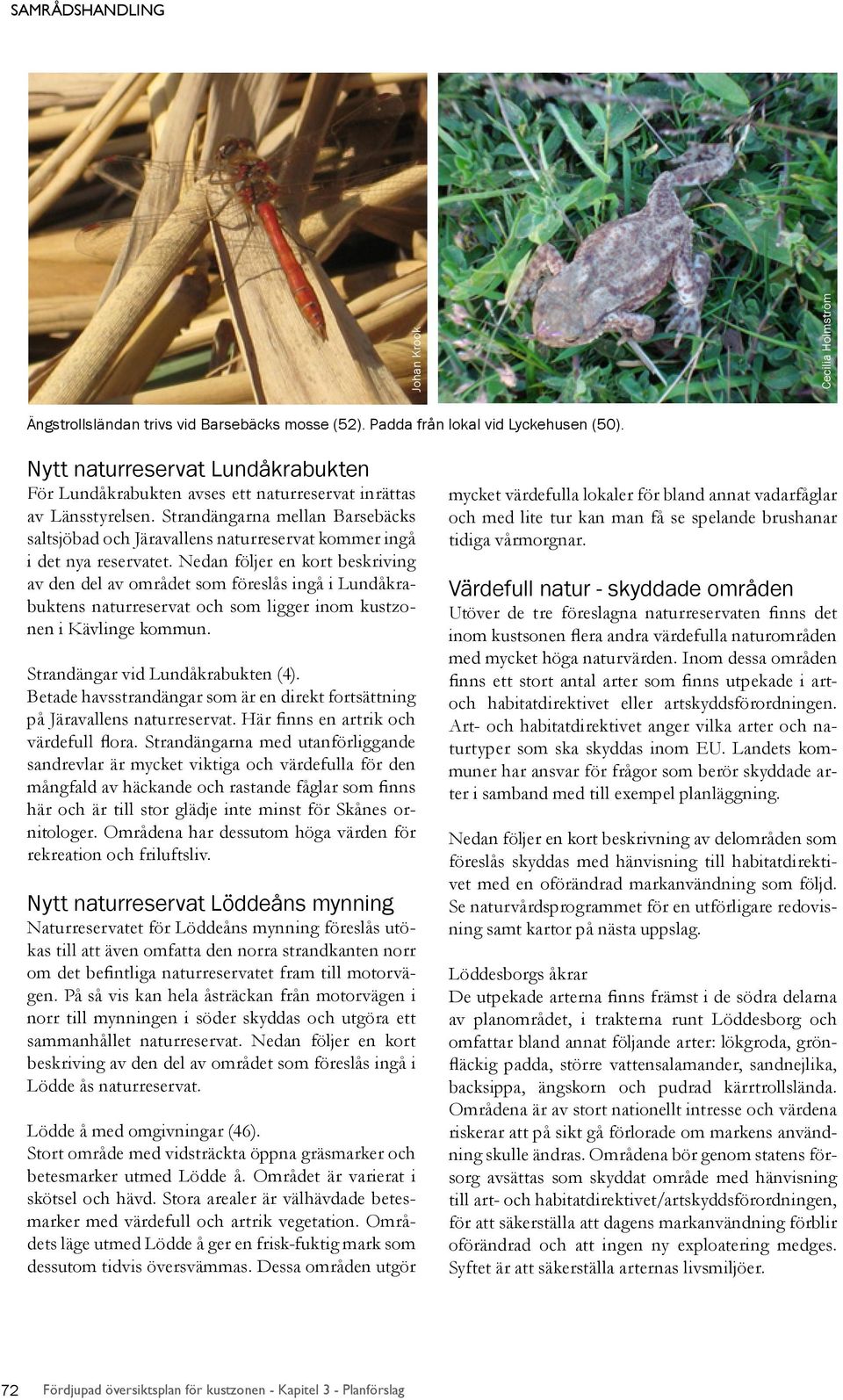 Strandängarna mellan Barsebäcks saltsjöbad och Järavallens naturreservat kommer ingå i det nya reservatet.