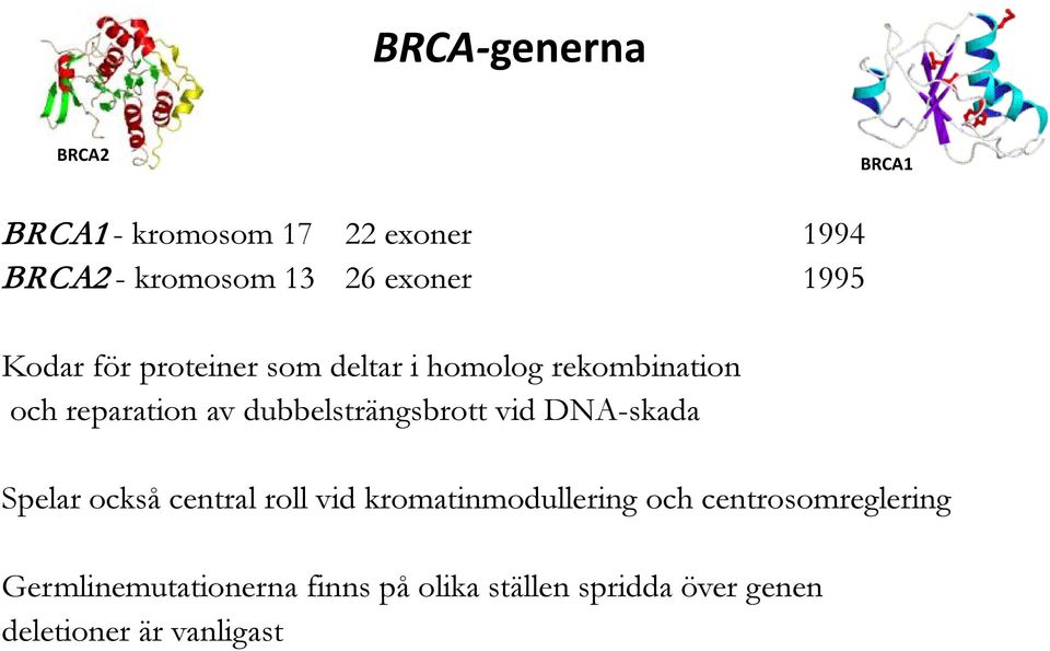 dubbelsträngsbrott vid DNA-skada Spelar också central roll vid kromatinmodullering och