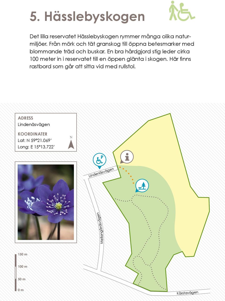 En bra hårdgjord stig leder cirka eter in i reservatet till en öppen glänta i skogen.