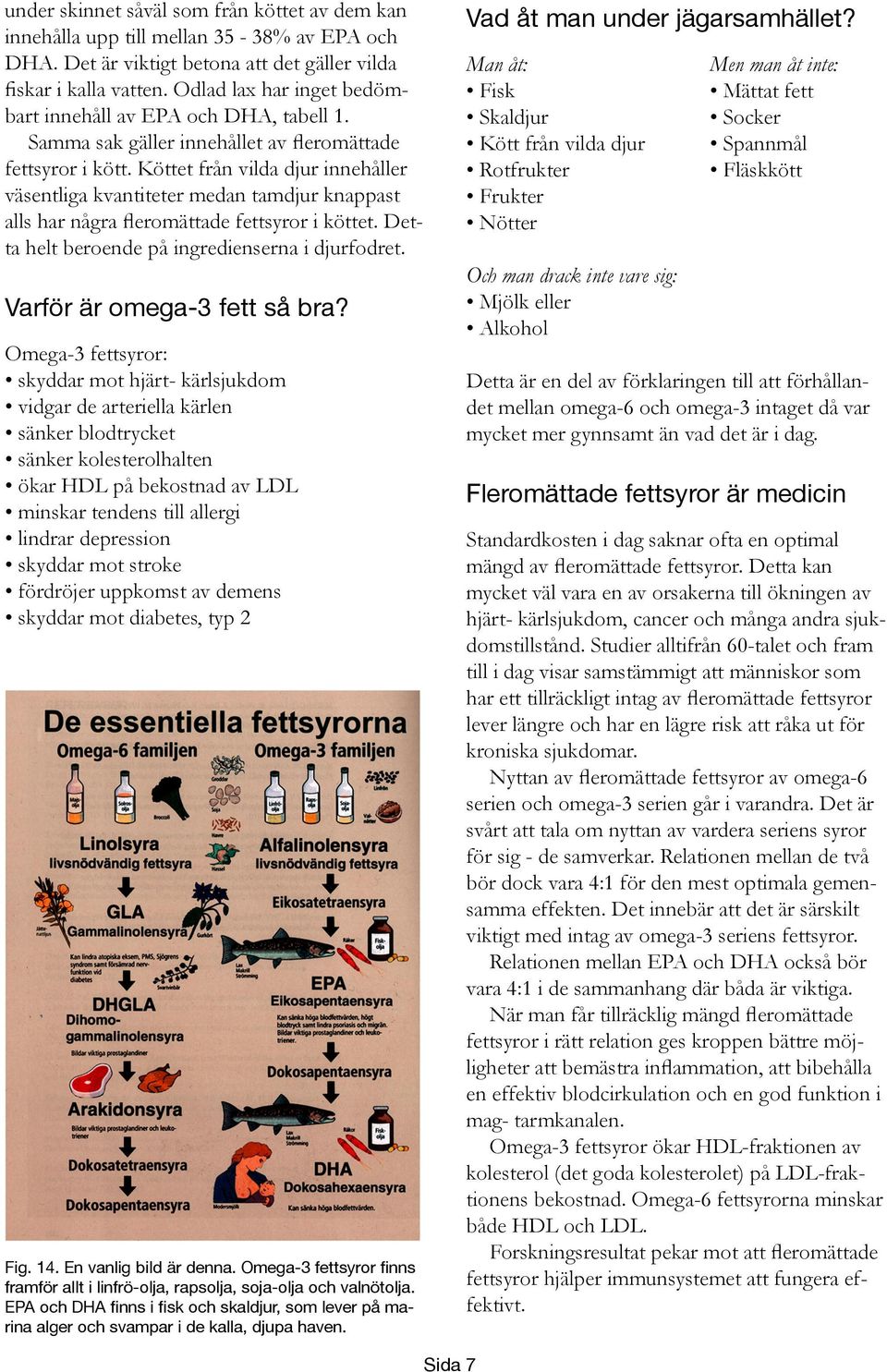 Köttet från vilda djur innehåller väsentliga kvantiteter medan tamdjur knappast alls har några fleromättade fettsyror i köttet. Detta helt beroende på ingredienserna i djurfodret.