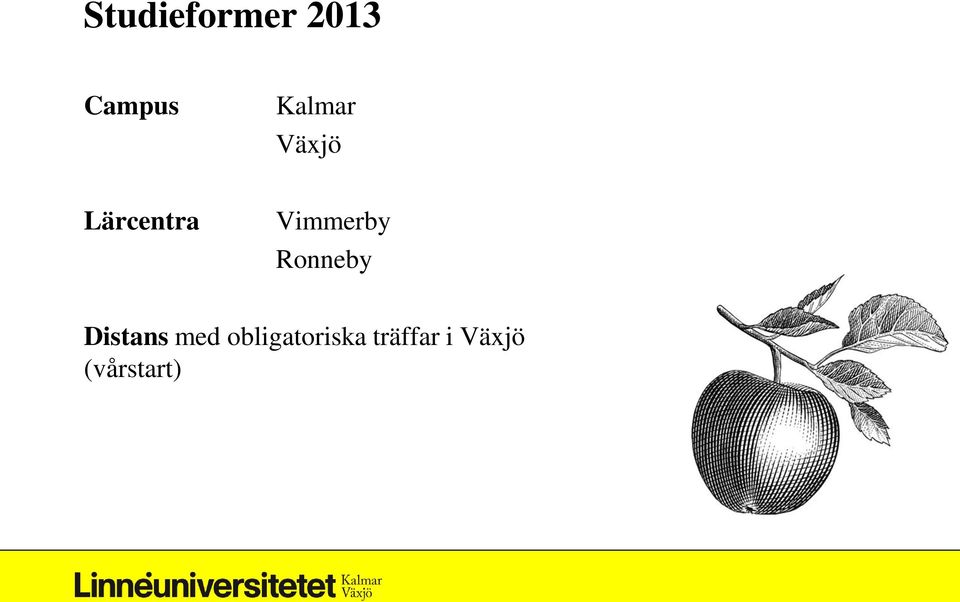 Vimmerby Ronneby Distans med