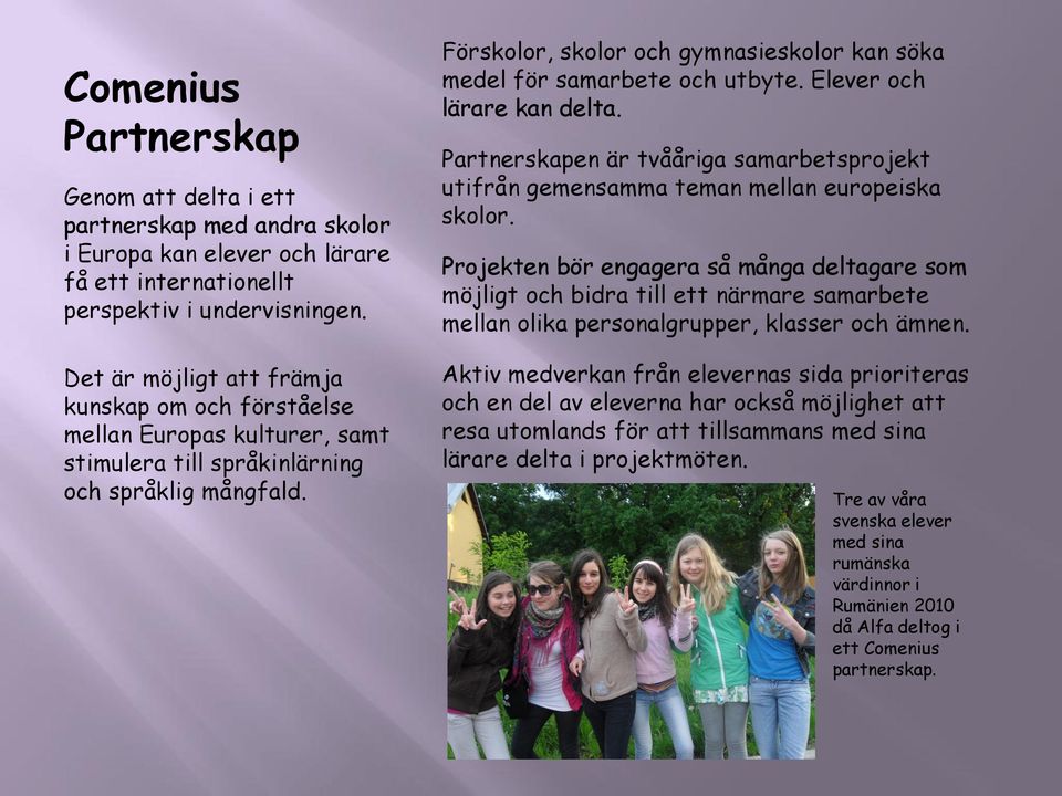 Förskolor, skolor och gymnasieskolor kan söka medel för samarbete och utbyte. Elever och lärare kan delta. Partnerskapen är tvååriga samarbetsprojekt utifrån gemensamma teman mellan europeiska skolor.