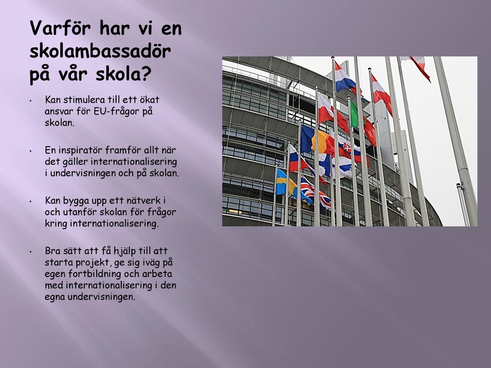 Kan bygga upp ett nätverk i och utanför skolan för frågor kring internationalisering.