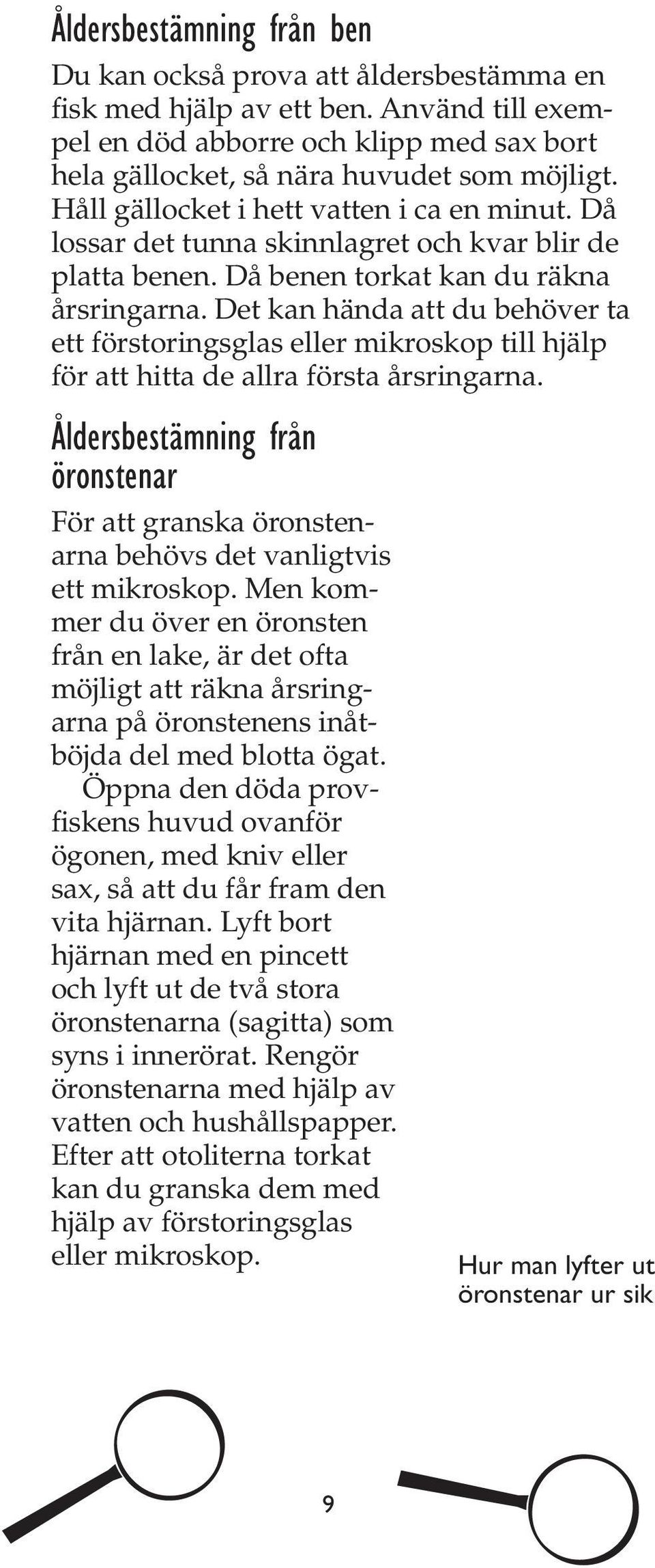 Det kan hända att du behöver ta ett förstoringsglas eller mikroskop till hjälp för att hitta de allra första årsringarna.