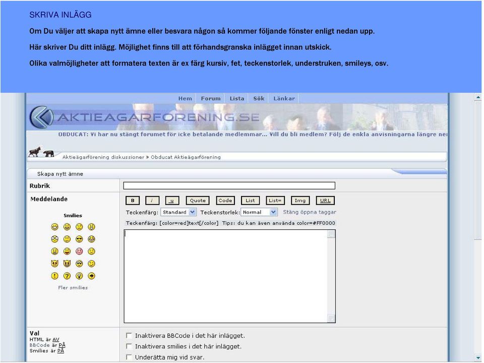 Möjlighet finns till att förhandsgranska inlägget innan utskick.